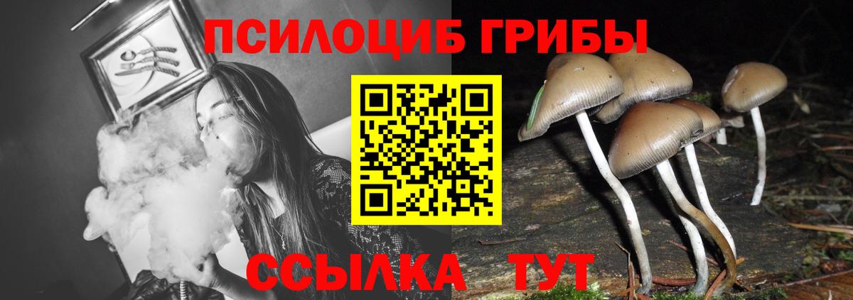 Псилоцибиновые грибы прущие грибы  Вход с VPN  Вичуга 